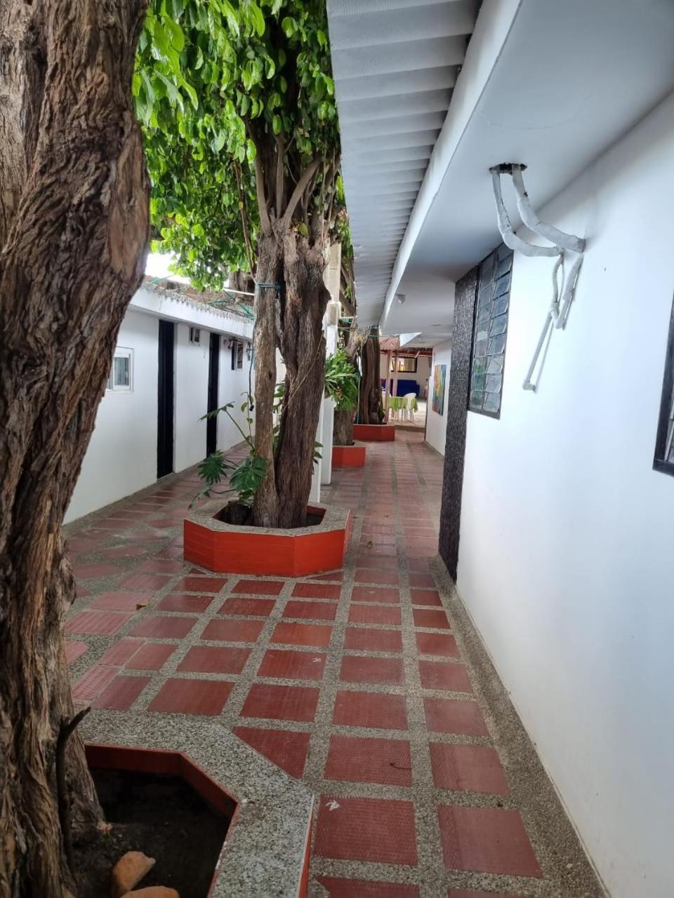 Hotel Mayte Fonseca Exterior foto